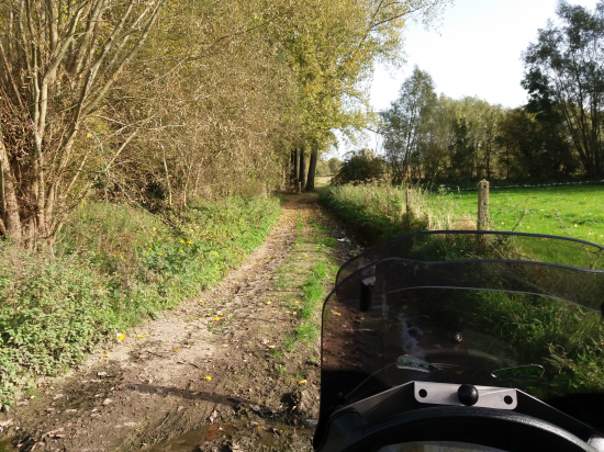 wegisdeweg.jpg